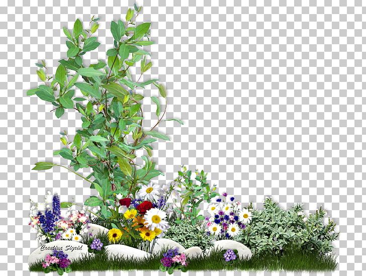 Garden Park Blog PNG, Clipart, Blog, Branch, English Landscape Garden, Flora, Floral Design Free PNG Download
