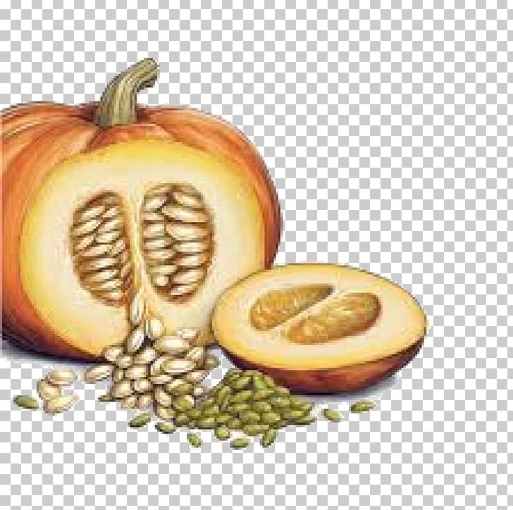 Pumpkin Bread Squash Soup Pumpkin Pie Pumpkin Seed PNG, Clipart, Calabaza, Commodity, Flesh, Food, Fruit Free PNG Download