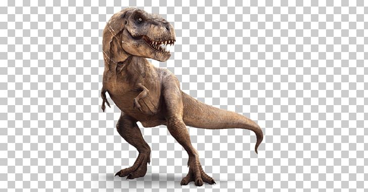 Rex Dinosaur Allosaurus Ceratosaurus Triceratops PNG, Clipart, Allosaurus, Ankylosaurus, Ceratosaurus, Dinosaur, Fantasy Free PNG Download