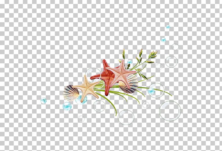 Starfish Designer PNG, Clipart, Animals, Branch, Bubble, Computer Wallpaper, Creative Ads Free PNG Download