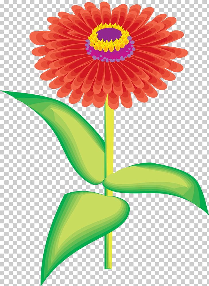 How to draw Zinnia flower ll Zinnia flower drawing  YouTube