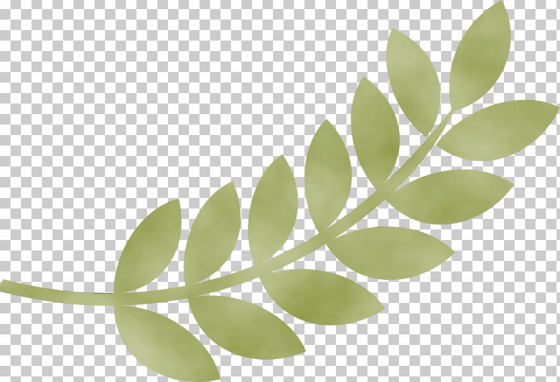 Leaf Plant Stem Plants Science Plant Structure PNG, Clipart, Biology, Leaf, Paint, Plants, Plant Stem Free PNG Download