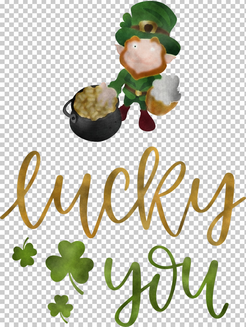 Lucky You Patricks Day Saint Patrick PNG, Clipart, Biology, Christmas Day, Christmas Ornament, Christmas Ornament M, Lucky You Free PNG Download