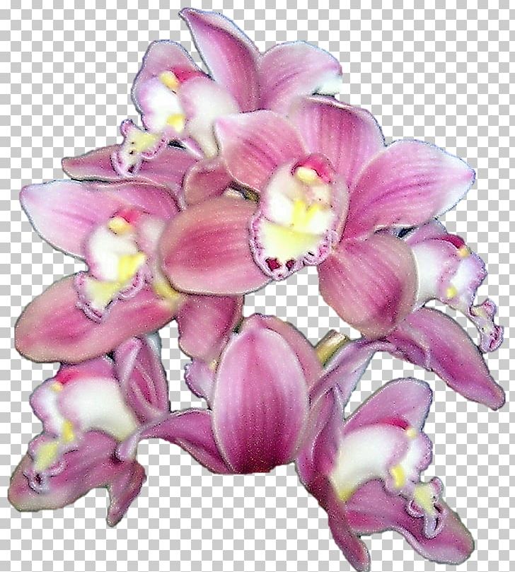 Cut Flowers Boat Orchid Orchids Floral Design PNG, Clipart, Art, Boat Orchid, Cut Flowers, Floral Design, Floristry Free PNG Download