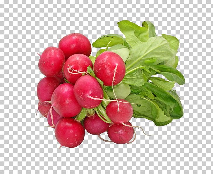 Daikon Beetroot Leaf Vegetable Salad PNG, Clipart, 5 A Day, Beet, Beetroot, Berry, Carrot Free PNG Download