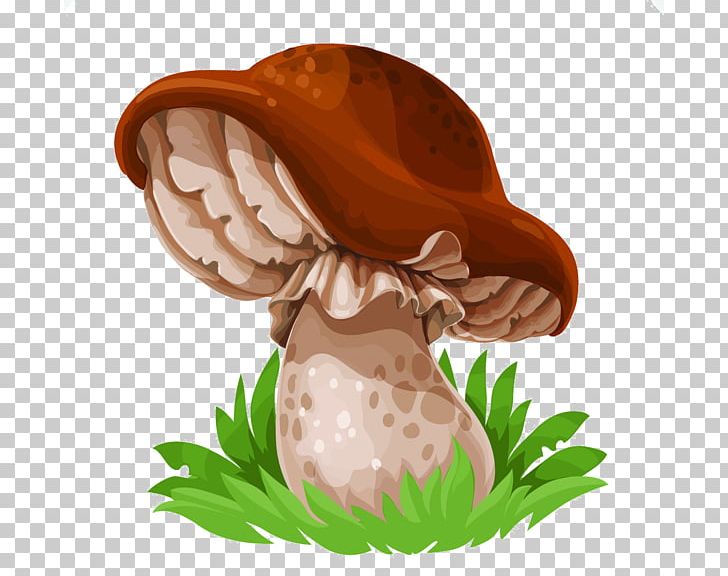 Edible Mushroom Drawing Common Mushroom Cep PNG, Clipart, Balloon Cartoon, Boletus Edulis, Boy Cartoon, Brown, Cartoon Character Free PNG Download