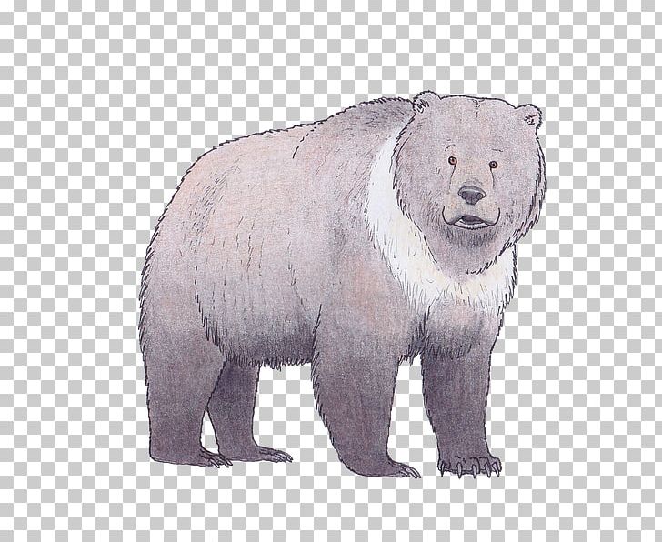 Polar Bear Brown Bear The Clan Of The Cave Bear Ursus Deningeri PNG, Clipart,  Free PNG Download