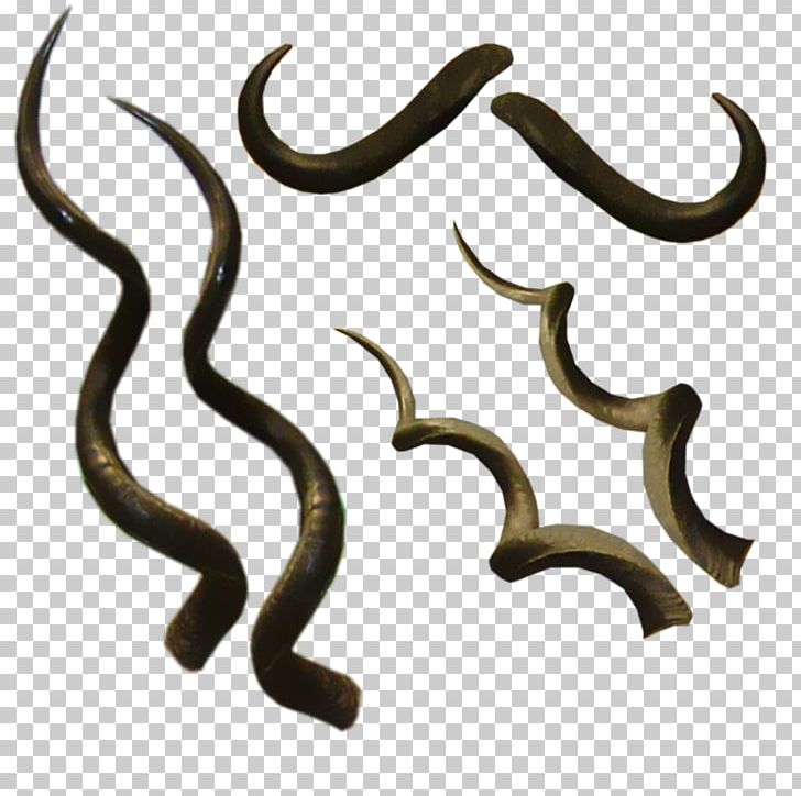 Horn Photography PNG, Clipart, Antler, Beatport, Body Jewelry, Deviantart, Drawing Free PNG Download