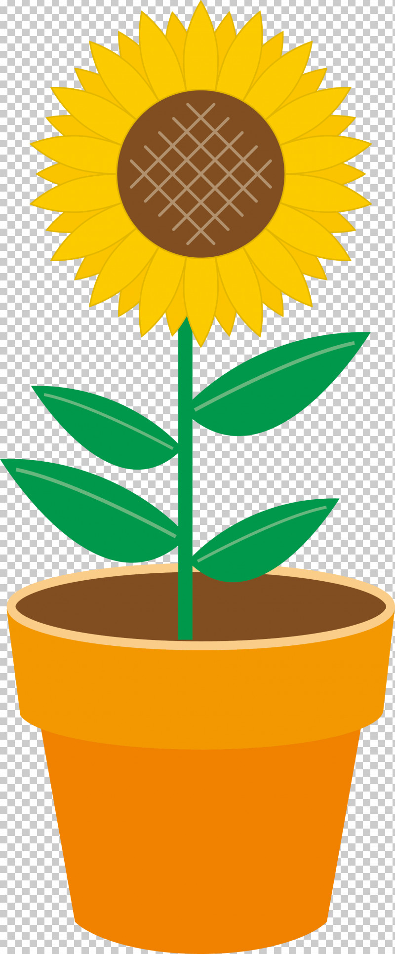 Sunflower PNG, Clipart, Cartoon, Flower, Flowerpot, Houseplant, Leaf Free PNG Download