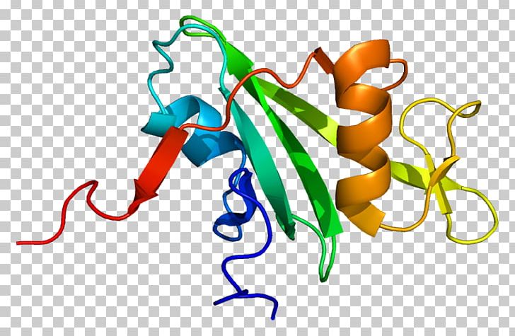 Bcr-Abl Tyrosine-kinase Inhibitor Philadelphia Chromosome Protein Oncogene PNG, Clipart, Abl, Artwork, Bcr, Bcrabl Tyrosinekinase Inhibitor, Chromosomal Translocation Free PNG Download