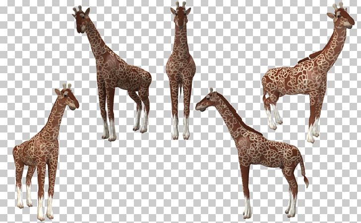 Spore Creatures Reticulated Giraffe Animal Deer PNG, Clipart, Animal, Animals, Art, Deer, Deviantart Free PNG Download