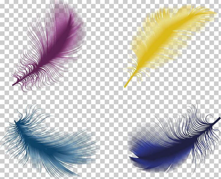 The Floating Feather Bird Euclidean PNG, Clipart, Adobe Illustrator, Animals, Color Pencil, Color Powder, Color Splash Free PNG Download