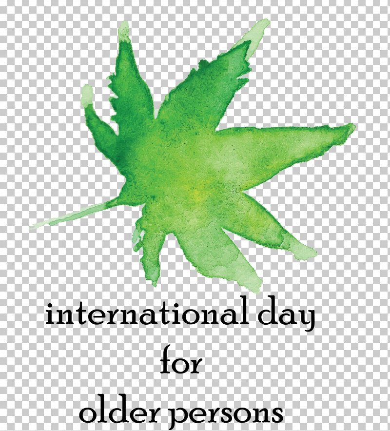 International Day For Older Persons PNG, Clipart, Biology, Geometry, Green, International Day For Older Persons, Leaf Free PNG Download