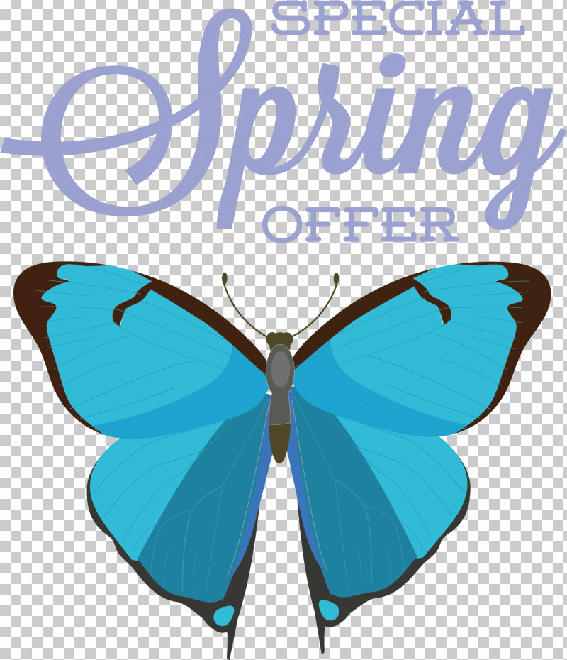 Brush-footed Butterflies Lepidoptera Turquoise Butterfly M Microsoft Azure PNG, Clipart, Biology, Brushfooted Butterflies, Butterfly M, Lepidoptera, Microsoft Azure Free PNG Download