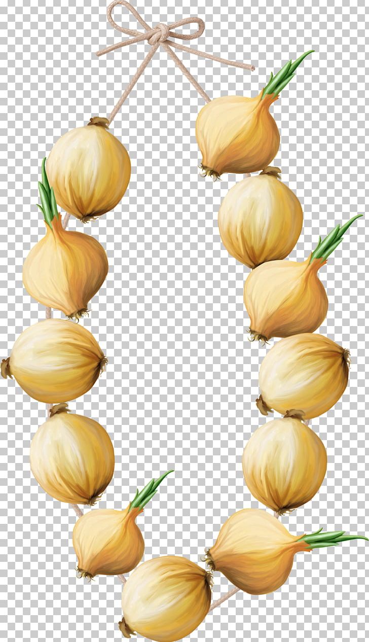 Shallot Vegetable Fruit Food Garlic PNG, Clipart, Cake, Chef, Commodity, Cooking, Dessert Free PNG Download