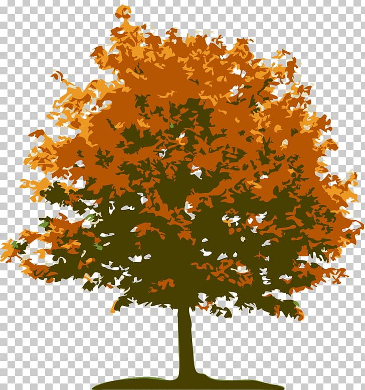 Tree Landscape Lawn Red Maple PNG, Clipart, Autumn, Bark, Branch, Deciduous, Flowering Plant Free PNG Download