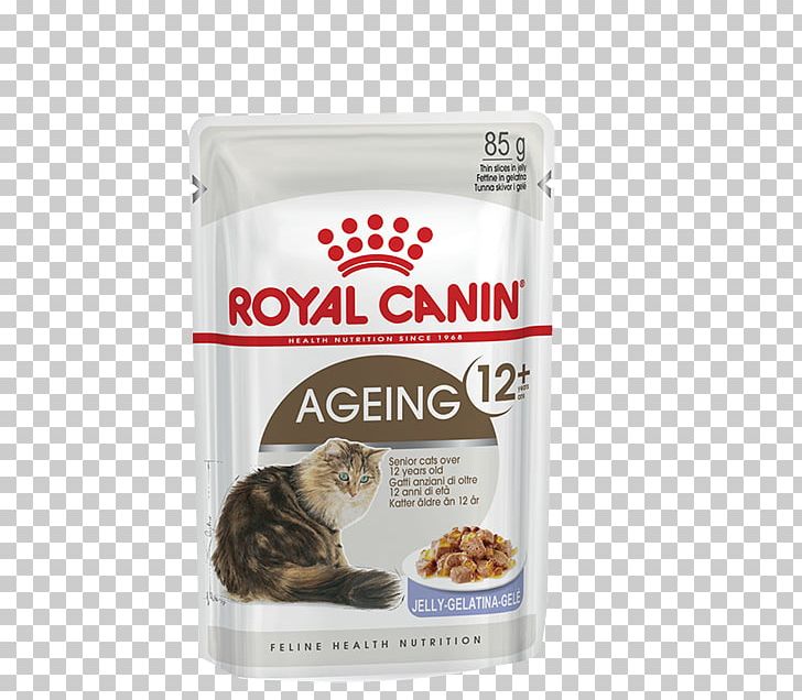 Cat Food Dog Kitten Royal Canin PNG, Clipart, Cat, Cat Food, Cat Health, Dog, Dog Food Free PNG Download