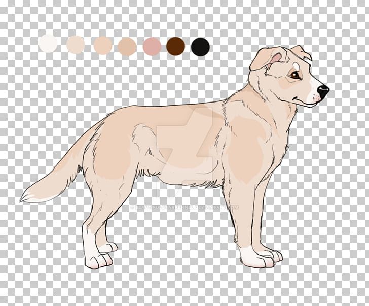 Dog Breed Puppy Sporting Group Retriever PNG, Clipart, Animals, Breed, Carnivoran, Dog, Dog Breed Free PNG Download