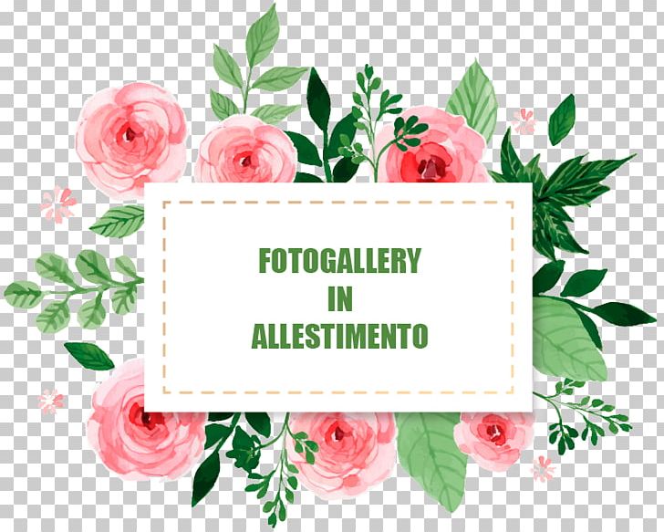 Watercolor Painting Social Media Late Bloomah Author PNG, Clipart, Author, Carta, Color, Cut Flowers, Die For You Free PNG Download