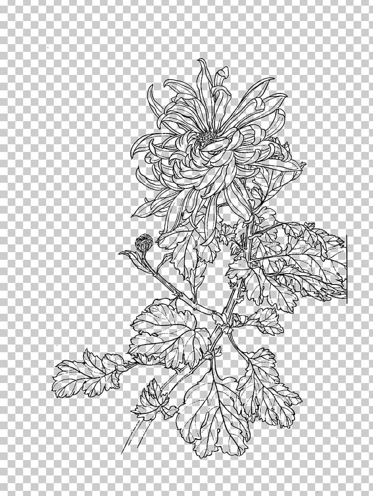 Chrysanthemum Flower U767du63cfu753b PNG, Clipart, Area, Art, Branch, Cartoon, Chrysanthemum Chrysanthemum Free PNG Download