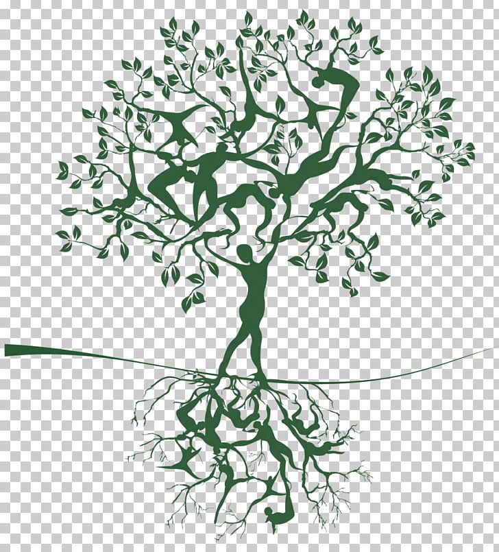 Tree Of Life Woman PNG, Clipart, Black And White, Branch, Celtic Sacred Trees, Concept, Evolution Free PNG Download