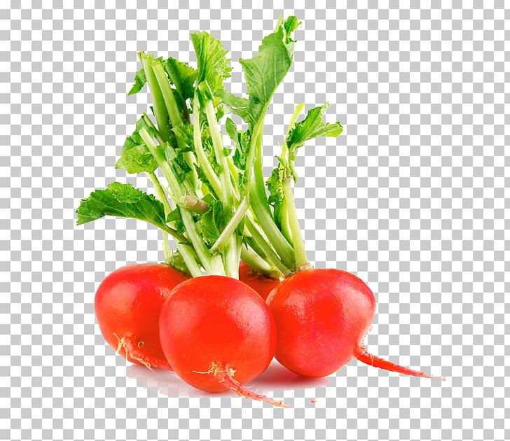 Vegetable Fruit Radish Food PNG, Clipart, Autumn Leaf, Berry, Bush Tomato, Carrot, Cherry Free PNG Download