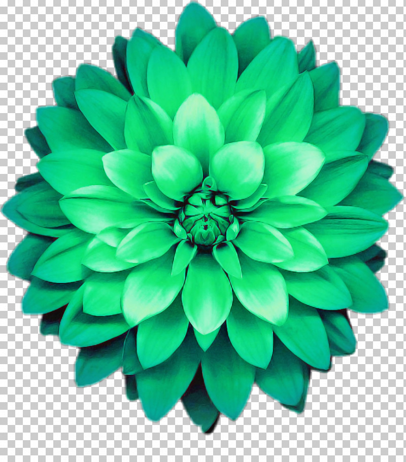 Artificial Flower PNG, Clipart, Artificial Flower, Dahlia, Flower, Green, Leaf Free PNG Download
