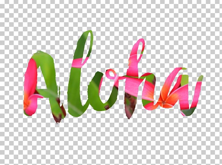Hawaii Aloha Desktop PNG, Clipart, Aloha, Blog, Desktop Wallpaper, Hawaii, Hawaii Aloha Free PNG Download