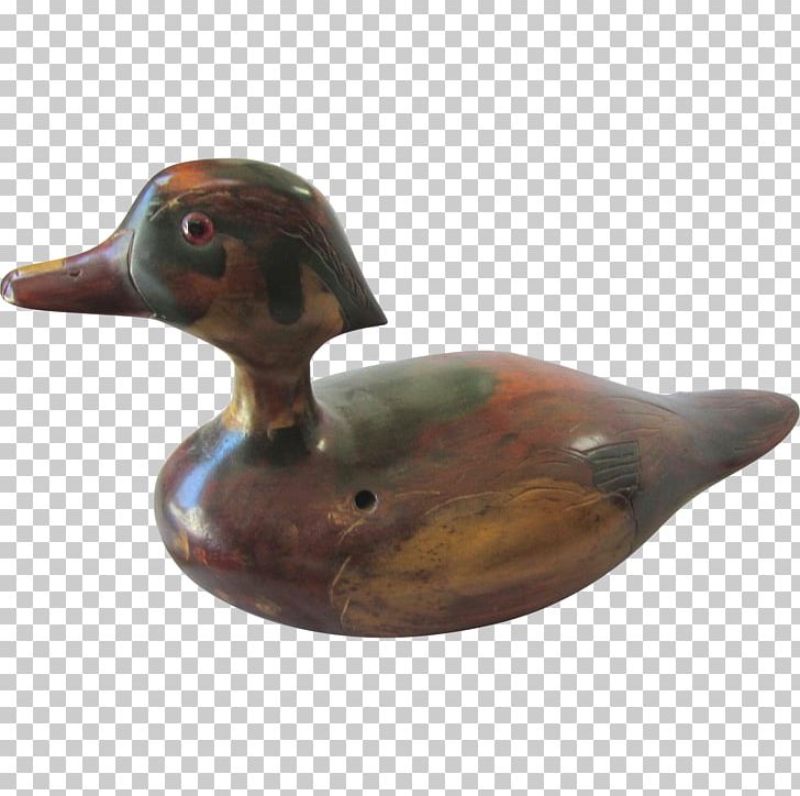 Mallard Duck Beak PNG, Clipart, Animals, Beak, Bird, Decoy, Duck Free PNG Download