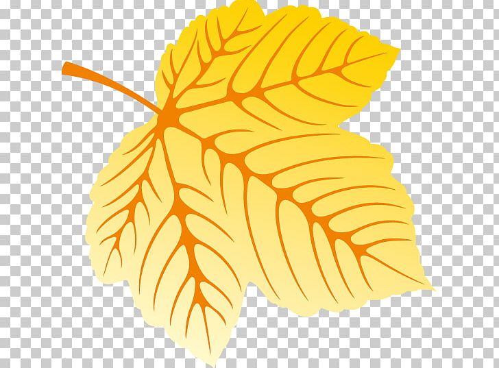 Red Maple Maple Leaf Drawing PNG, Clipart, Akiba, Animation, Autumn, Autumn Elements, Autumn Vector Free PNG Download