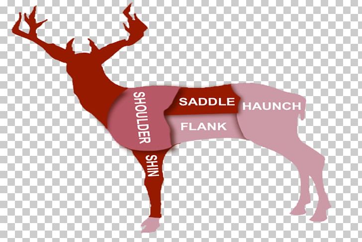 Reindeer Red Deer Stuffing Cut Of Beef PNG, Clipart, Antler, Beef Clod, Braising, Butcher, Cut Of Beef Free PNG Download