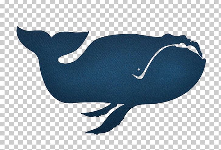 Baleen Whale Porpoise Blue Whale Illustration PNG, Clipart, Animal, Animals, Background Black, Baleen, Baleen Whale Free PNG Download