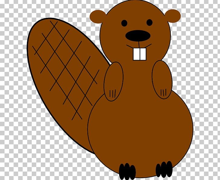 Beaver PNG, Clipart, Animals, Bear, Beaver, Blog, Carnivoran Free PNG Download
