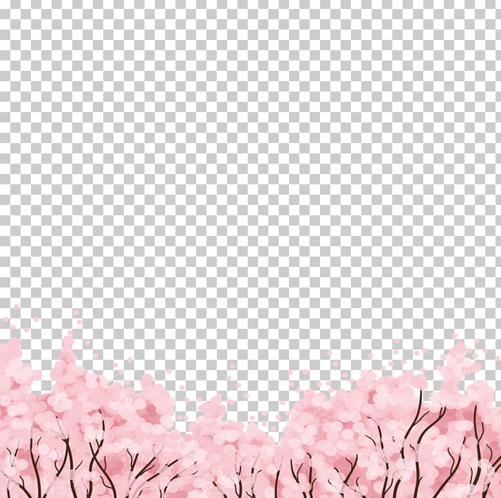 Cherry Blossom PNG, Clipart, Blossom, Blossoms, Cherry, Cherry Blossom, Cherry Blossoms Free PNG Download