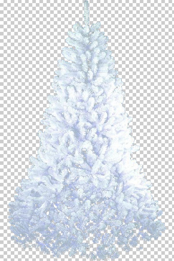 Christmas Tree Fir Desktop PNG, Clipart, Blog, Christmas, Christmas Decoration, Christmas Ornament, Christmas Tree Free PNG Download