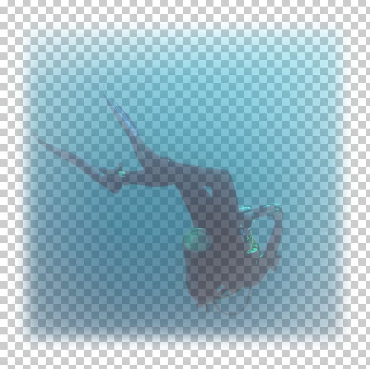 Free-diving Underwater Divemaster PNG, Clipart, Dive, Divemaster, Diving, Freediving, Home Design Free PNG Download