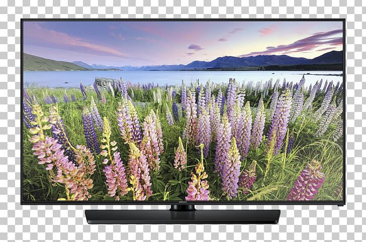 High-definition Television LED-backlit LCD 1080p Smart TV PNG, Clipart, 4k Resolution, 1080p, Flat Panel Display, Flower, Highdefinition Television Free PNG Download