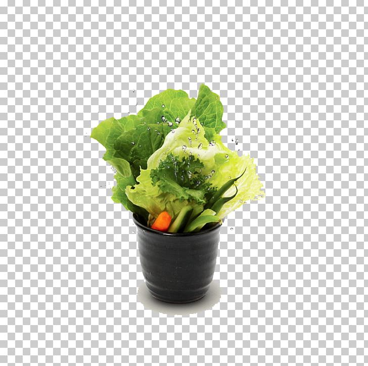 Korean Cuisine Lettuce Chinese Cabbage Vegetable Food PNG, Clipart, Bok Choy, Braising, Cabbage, Chinese Border, Chinese Cabbage Free PNG Download