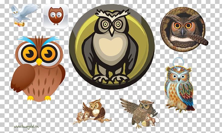 Owl Bird PNG, Clipart, Animal, Animals, Beak, Bird, Bird Of Prey Free PNG Download
