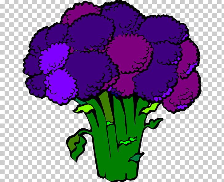 Broccoli Slaw Drawing PNG, Clipart, Artwork, Broccoli, Broccolini, Broccoli Slaw, Cartoon Free PNG Download