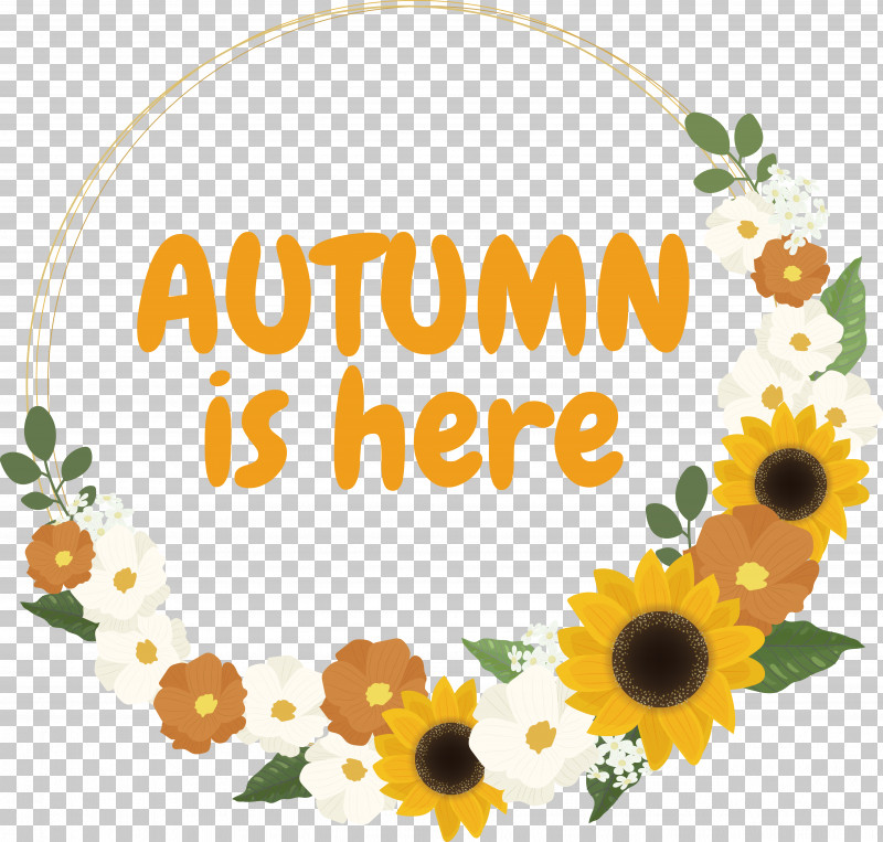 Floral Design PNG, Clipart, Autumn, Common Sunflower, Drawing, Floral Design, Flower Free PNG Download