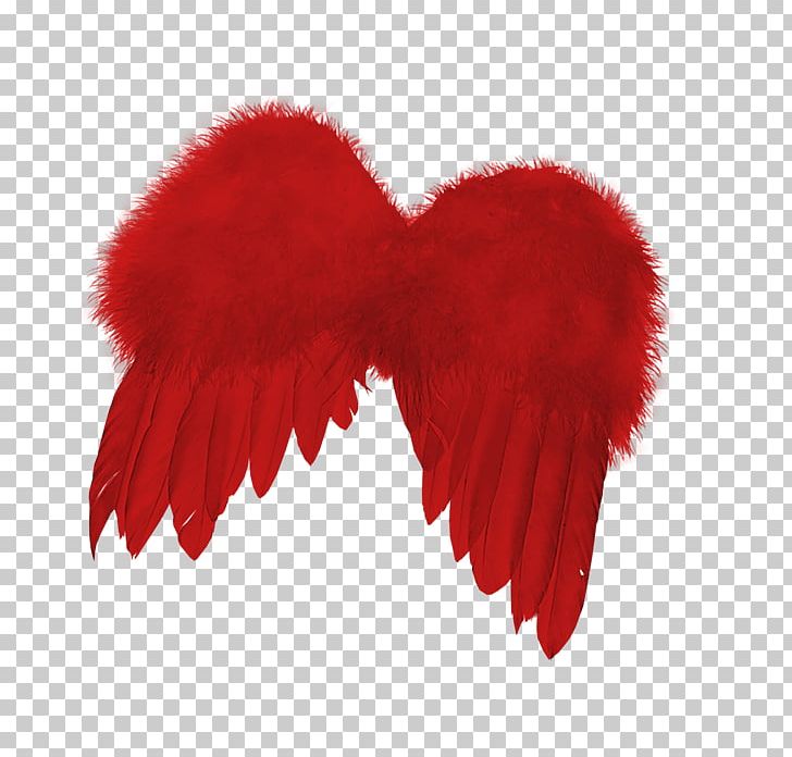Feather PNG, Clipart, Angel Wing, Angel Wings, Chicken Wings, Encapsulated Postscript, Fantasy Free PNG Download