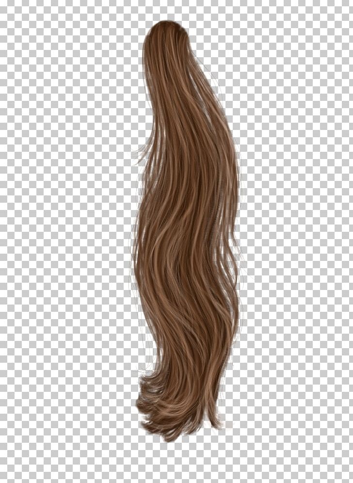 Hair/pelo PhotoScape PNG, Clipart, Brown Hair, Capelli, Caramel Color, Data Conversion, Hair Free PNG Download