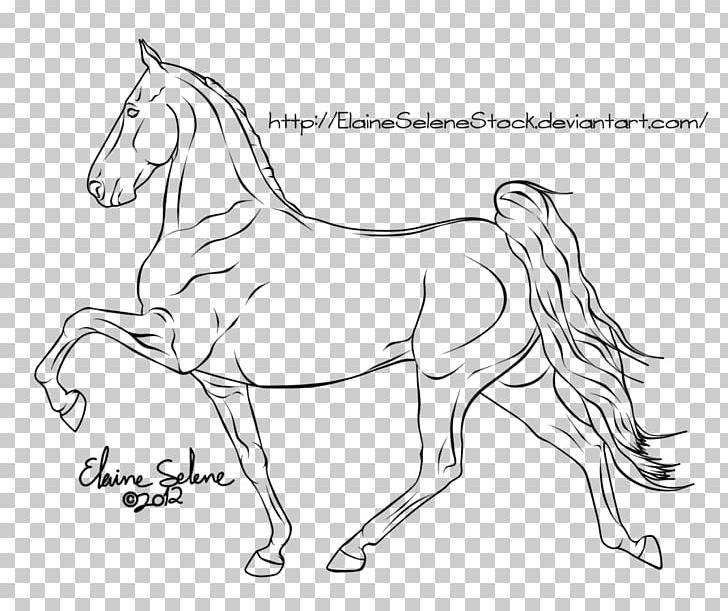 Tennessee Walking Horse Mustang Line Art Mane Bridle PNG, Clipart, Artwork, Black And White, Bridle, Coloring Pages, Colour Free PNG Download