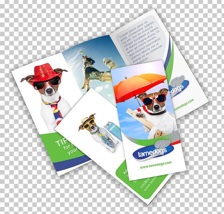 Advertising Brochure Printing Folded Leaflet PNG, Clipart, Advertising, Art, Brand, Brochure, Business Free PNG Download