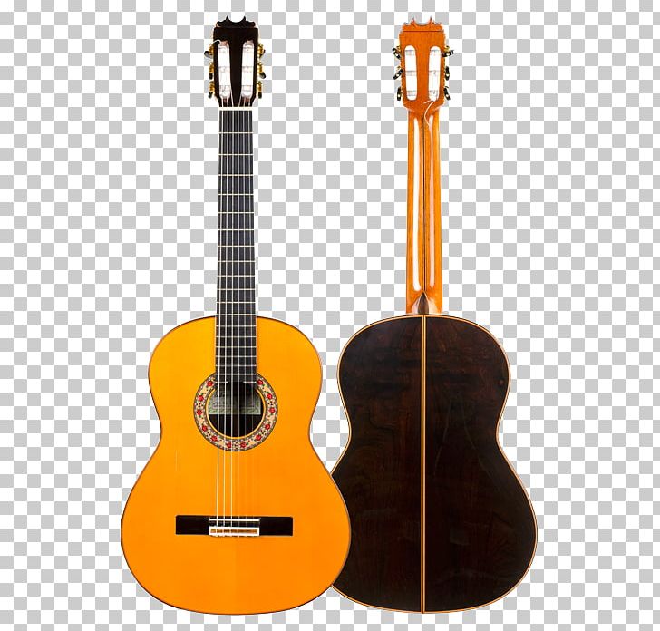 Bass Guitar Acoustic Guitar Tiple Cuatro Ukulele PNG, Clipart, Acousticelectric Guitar, Acoustic Electric Guitar, Acoustic Guitar, Bass, Cuatro Free PNG Download