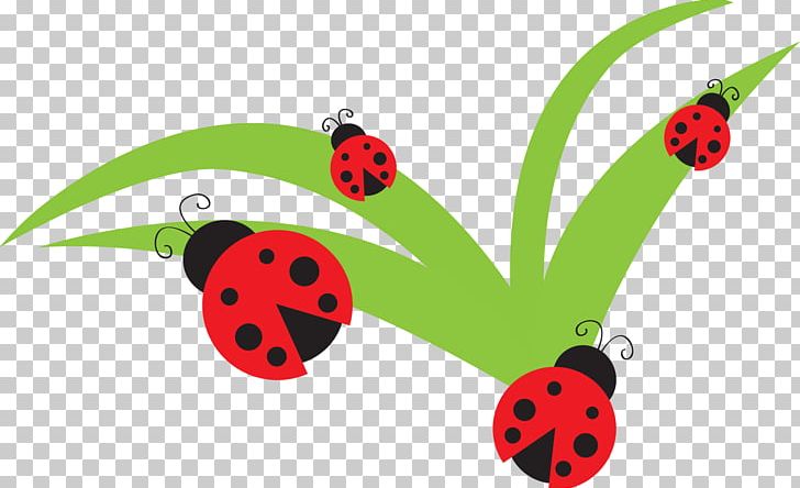 Ladybird PNG, Clipart, Beetle, Blog, Bug, Cartoon, Clip Art Free PNG Download