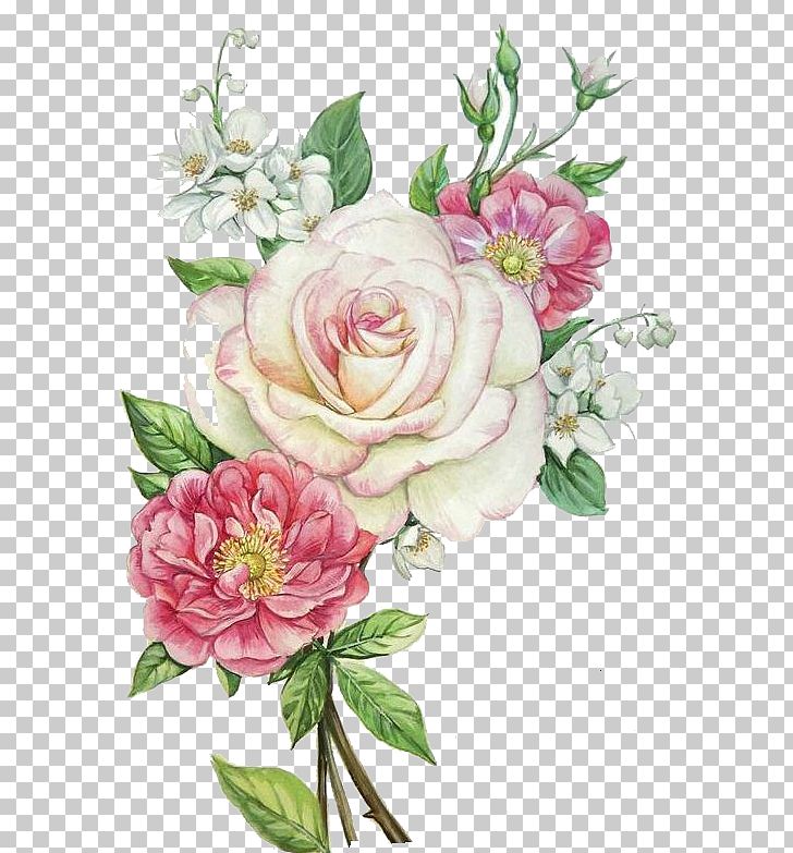 Download Pink And White Flowers Png | PNG & GIF BASE