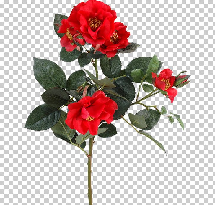 Garden Roses Flower Floribunda Japanese Camellia Plant Stem PNG, Clipart, Annual Plant, Artificial Flower, Azalea, Branch, Camellia Free PNG Download