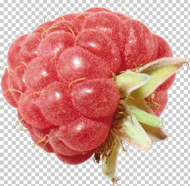 Raspberry Portable Network Graphics PNG, Clipart, Berry, Computer Graphics, Food, Fruit, Fruit Nut Free PNG Download